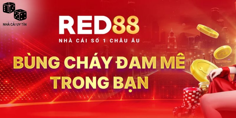 Thành tựu mà nhà cái sở hữu